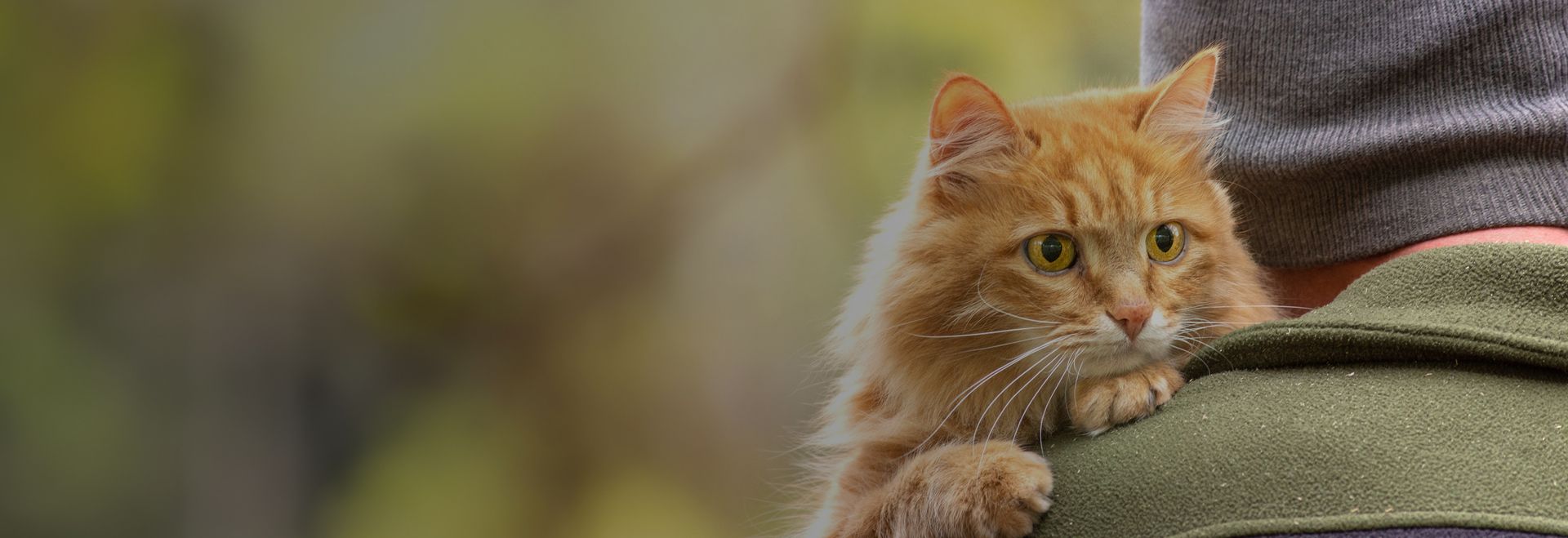 Ein Mann trägt eine Katze auf dem Arm